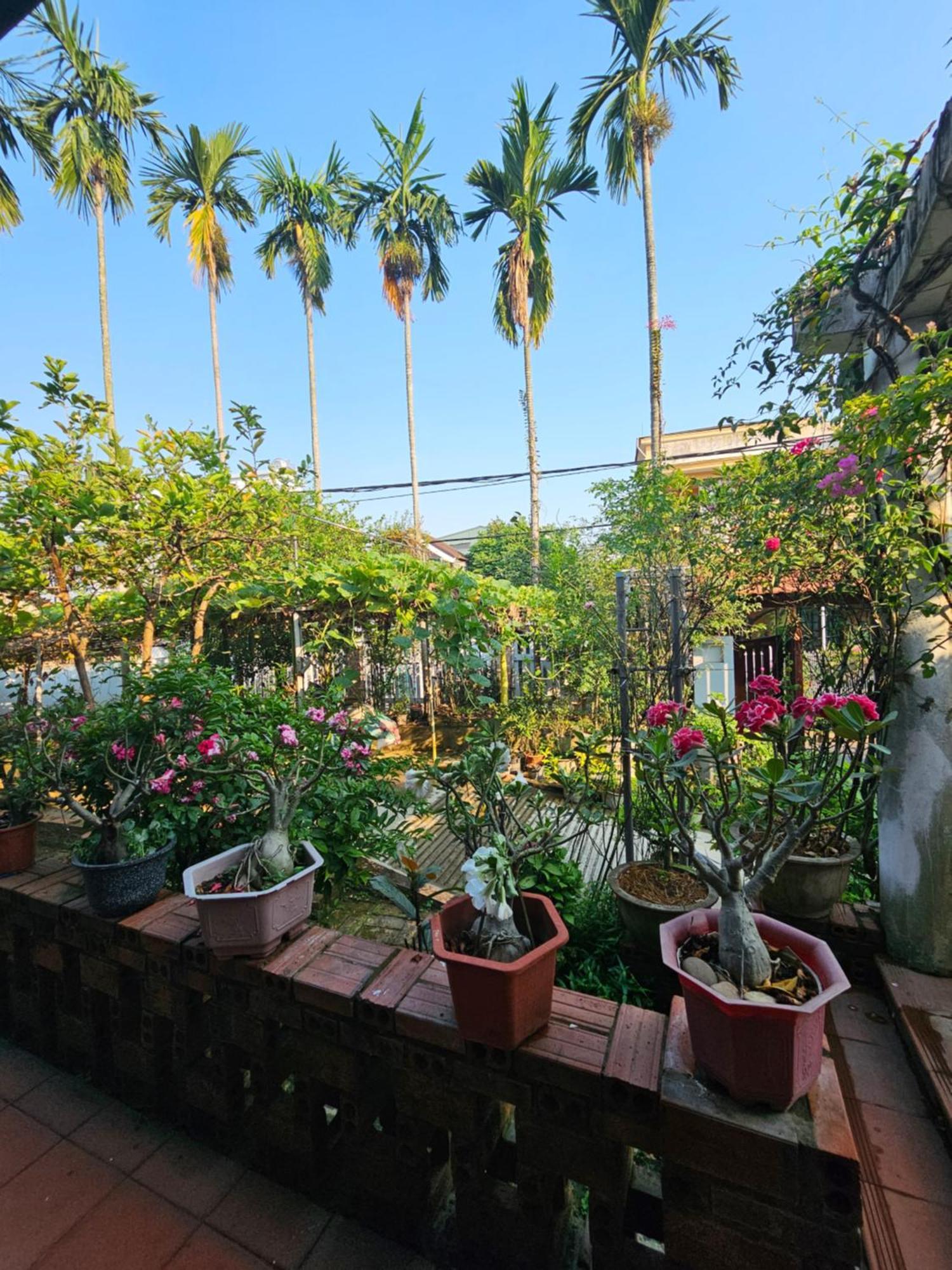 Rose Homestay Hue Thon Kim Long Ngoại thất bức ảnh
